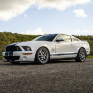 Dutchshelby
